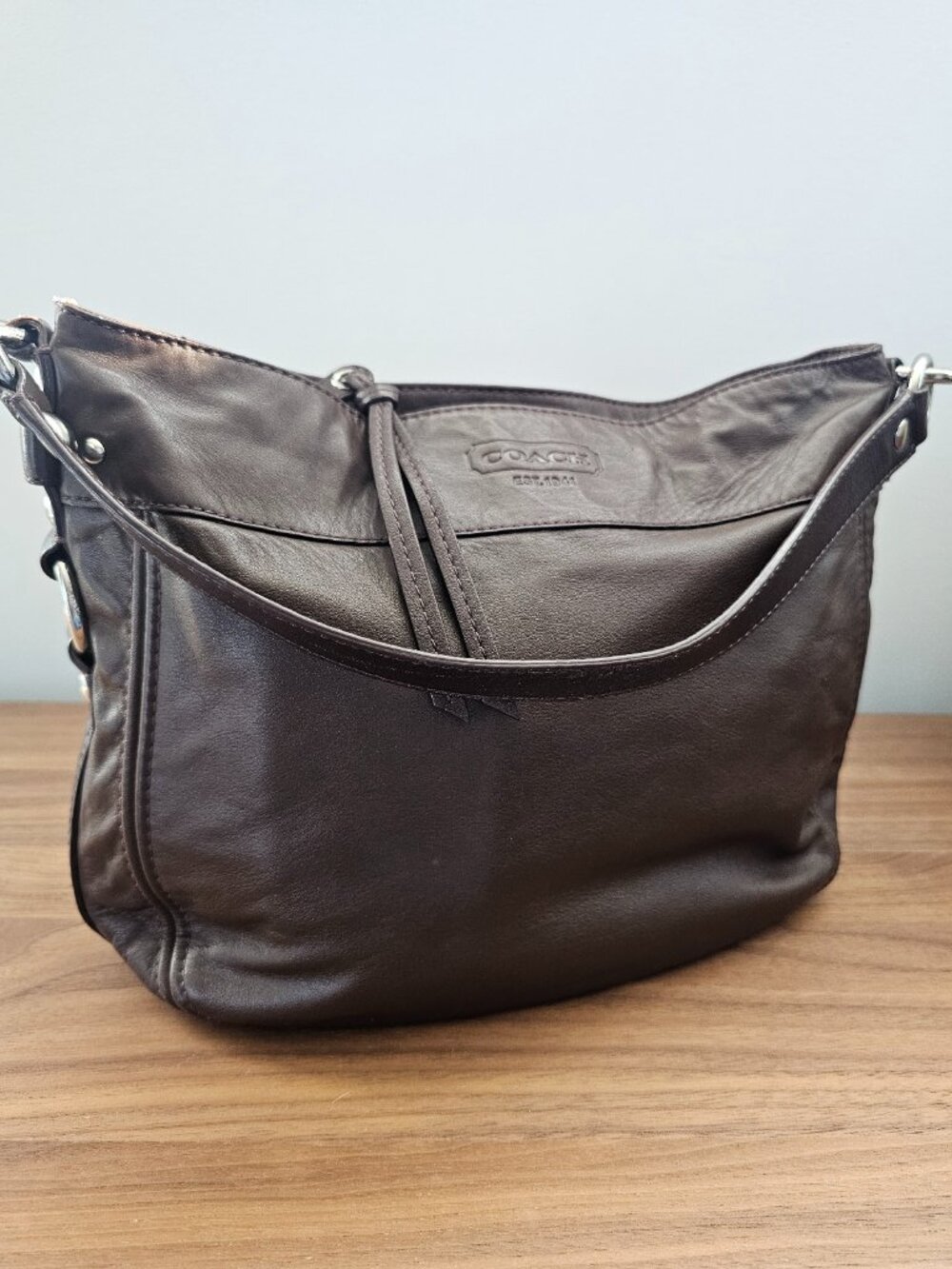 Coach Zoe Medium Hobo Shoulder Bag